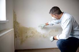 Best Residential Mold Inspection & Testing in Roessleville, NY